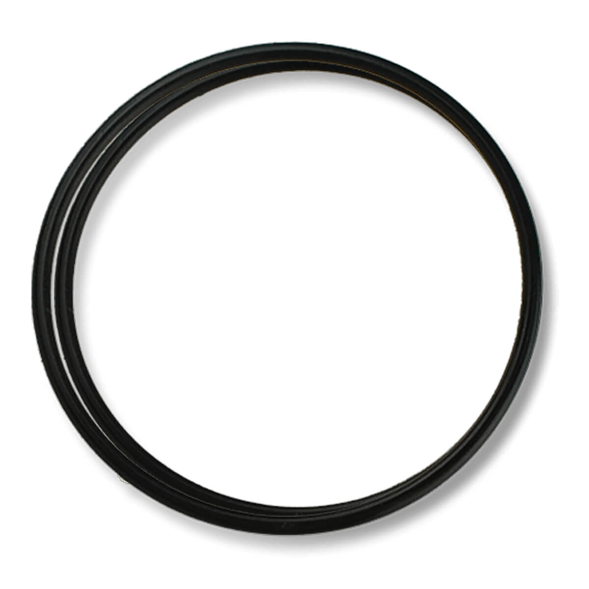 Dichtung Filtergehäuse Proline Digital